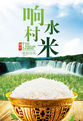 响水米的魅力 从寒冬到餐桌的自然馈赠