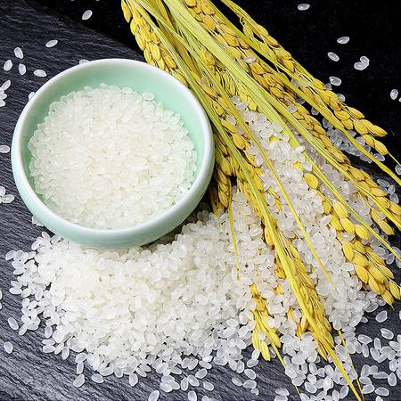 盘锦蟹田米与东北玉米 当季新米与黄金谷物批发指南