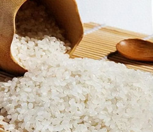 全球粮食储备对比 中美日大米与玉米储存量揭示的战略差异