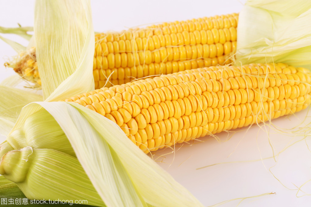 稻米与玉米 滋养人类文明的两种主食